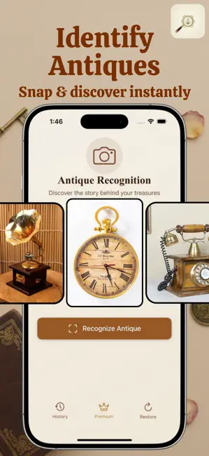 AntiqueGo Identification Results - Detailed Information